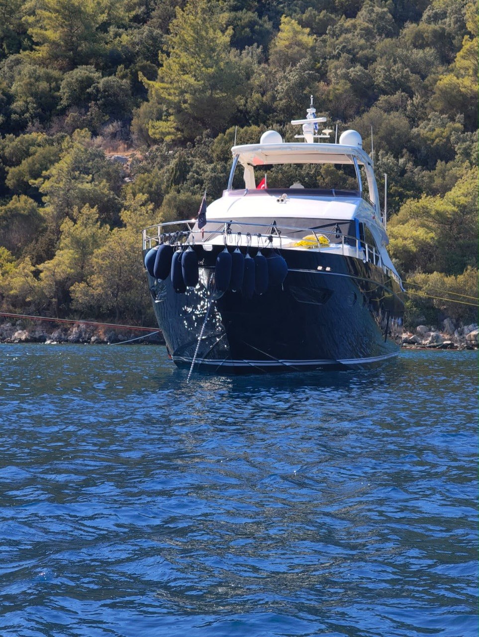 AQUARİA — fotoğraf 2
