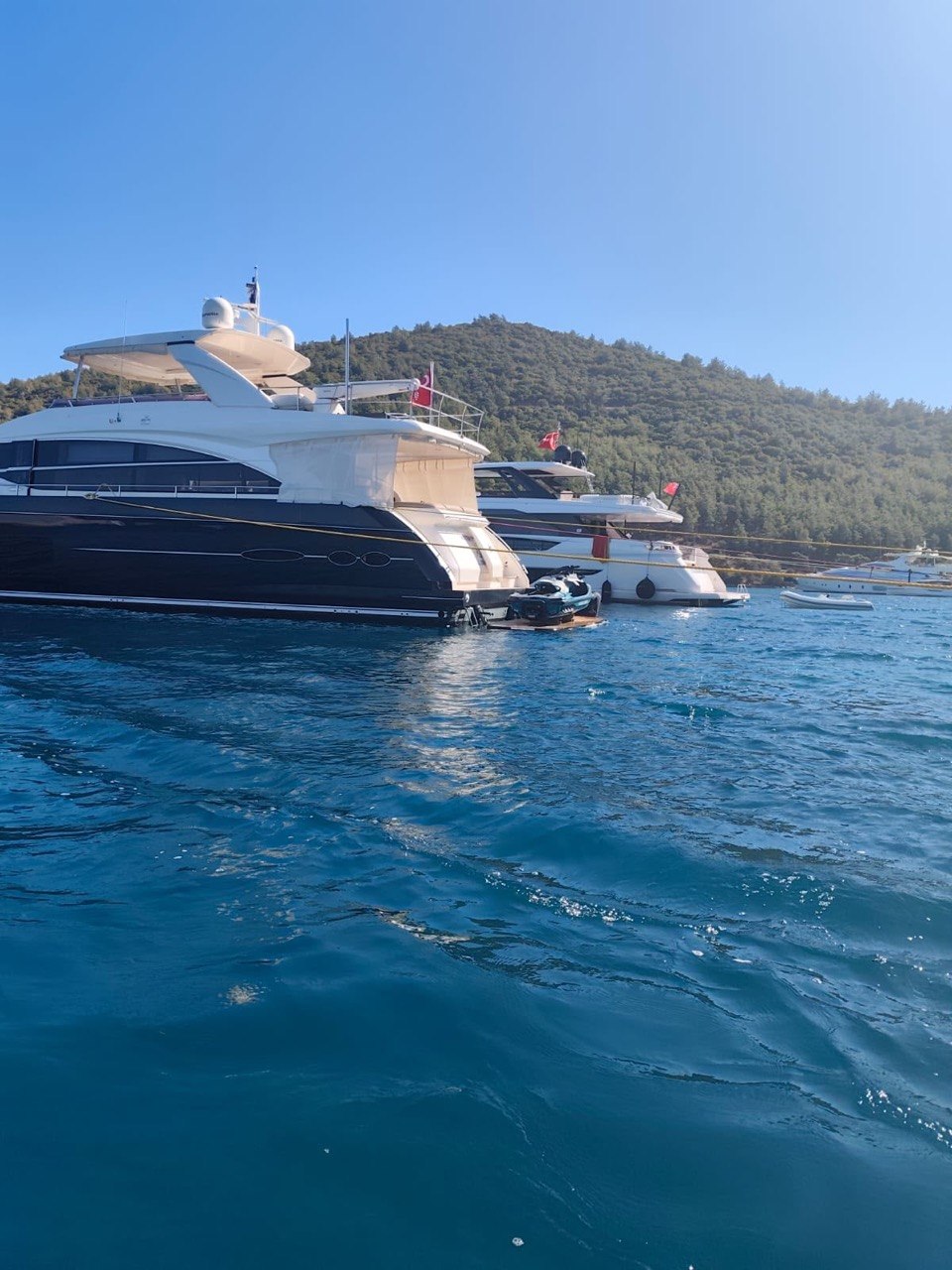 AQUARİA — fotoğraf 5